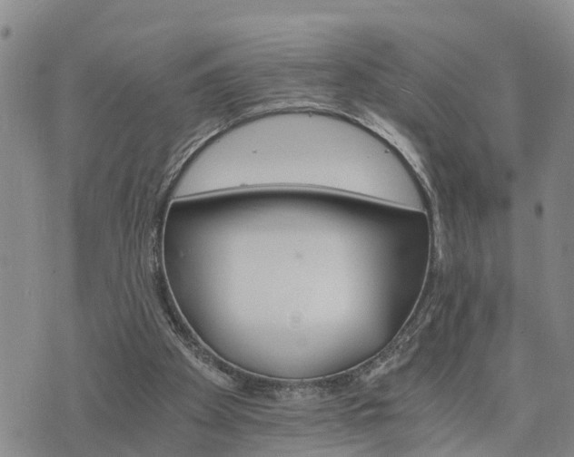 X0000075860105200609221805