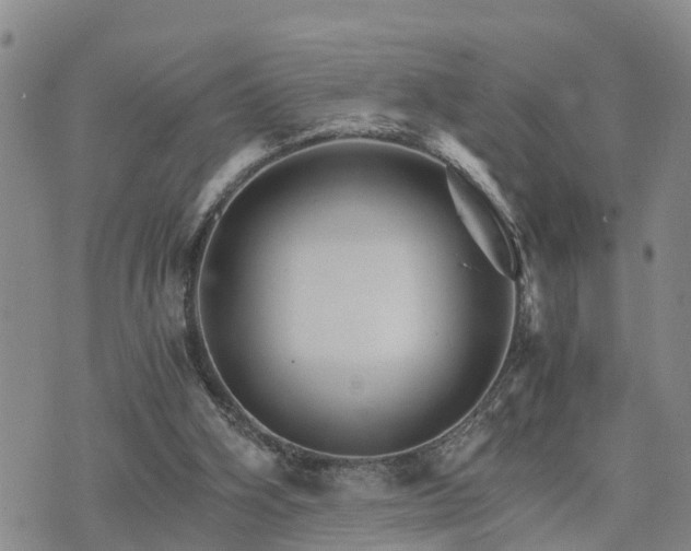 X0000075860106200609221805