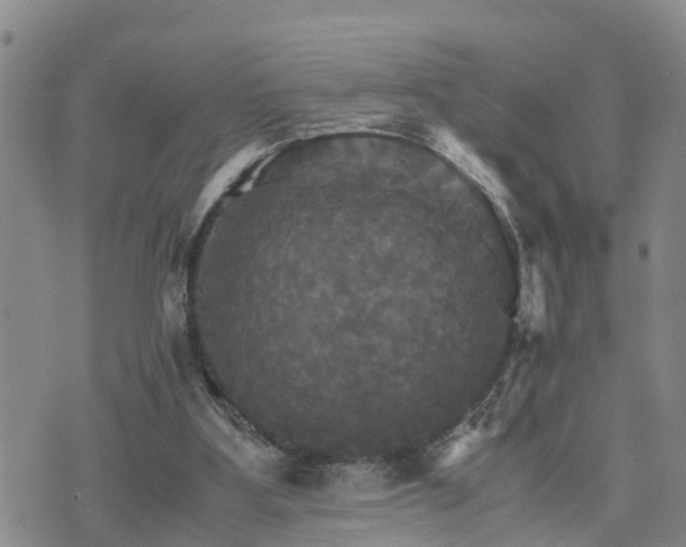 X0000075860107200609221805