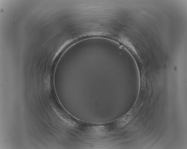 X0000075860108200609221805