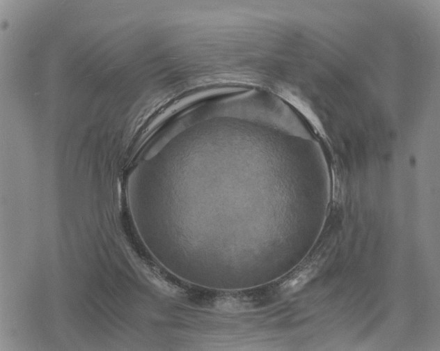 X0000075860109200609221805