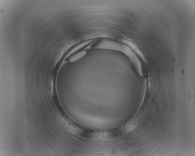 X0000075860110200609221805