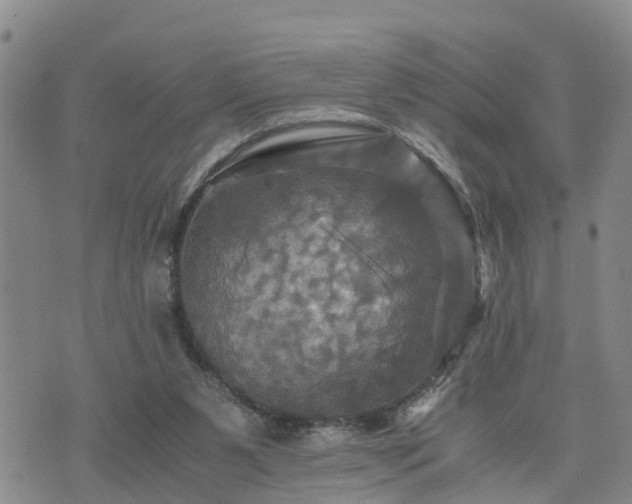 X0000075860111200609221805