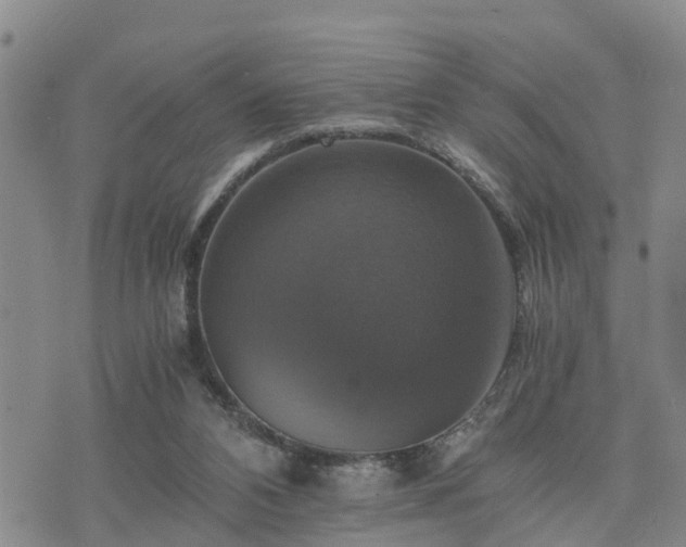 X0000075860112200609221805