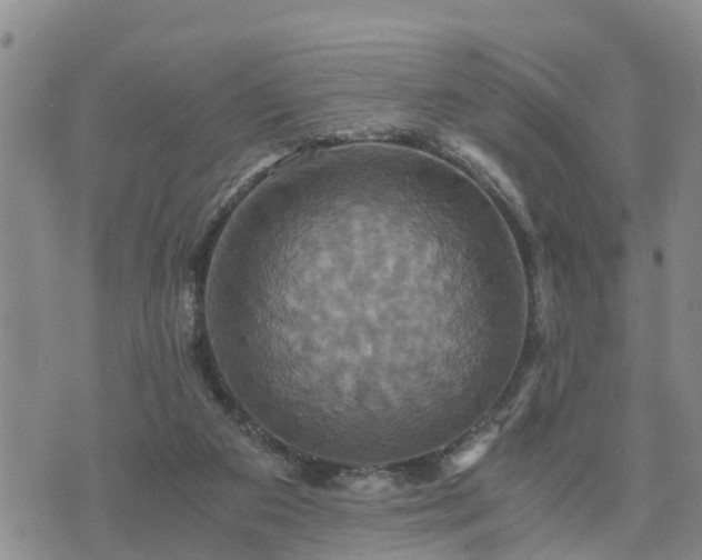 X0000075860113200609221805