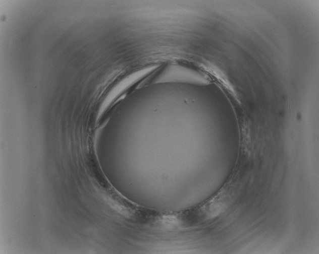 X0000075860114200609221805