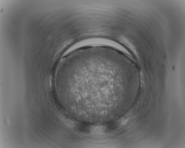 X0000075860115200609221805