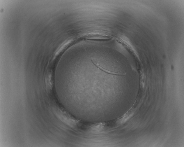 X0000075860116200609221805