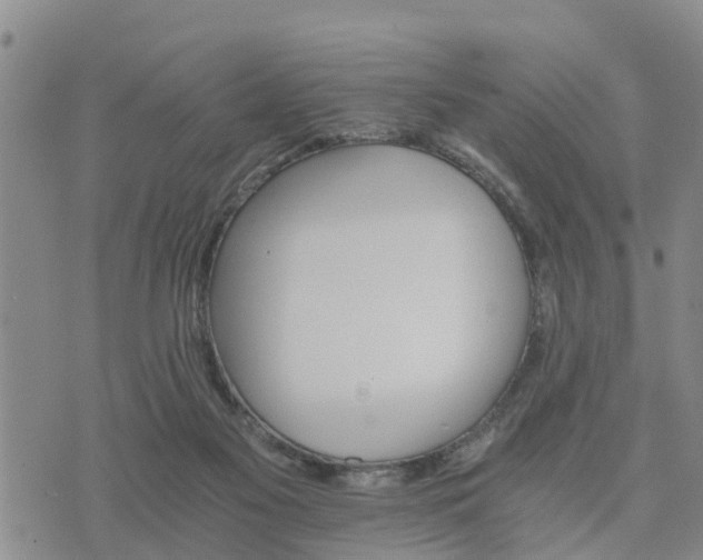 X0000075860117200609221805