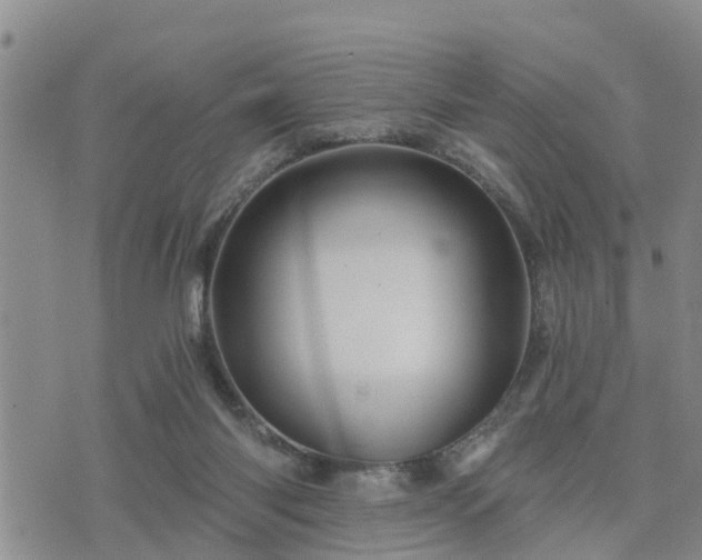 X0000075860118200609221805