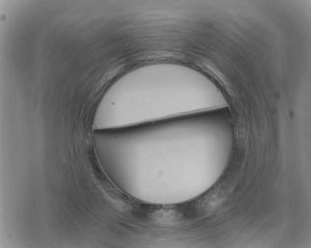 X0000075860119200609221805