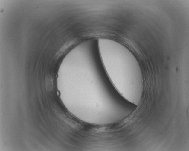 X0000075860120200609221805