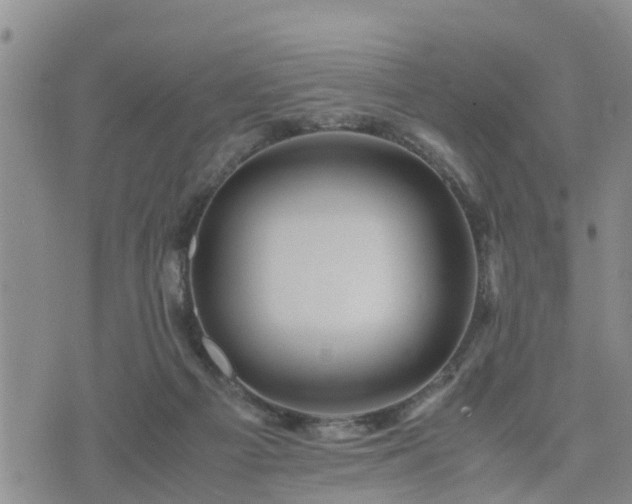 X0000075860121200609221805