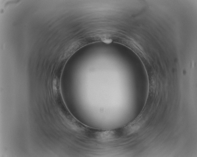 X0000075860122200609221805