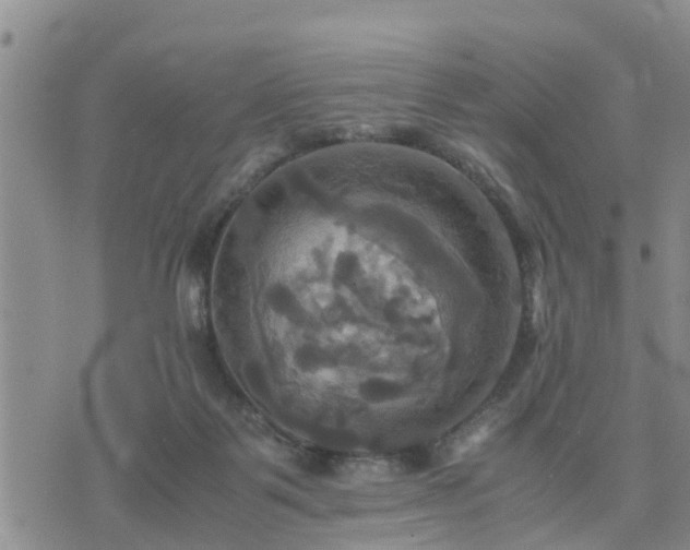 X0000075860123200609221805