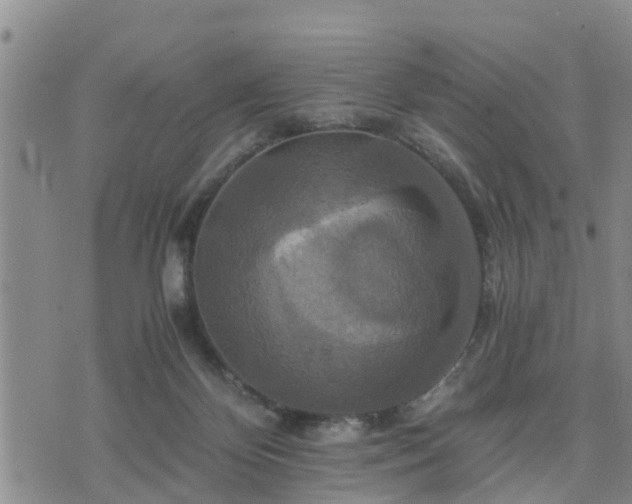 X0000075860124200609221805