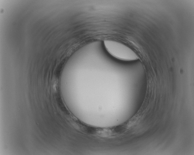 X0000075860125200609221805