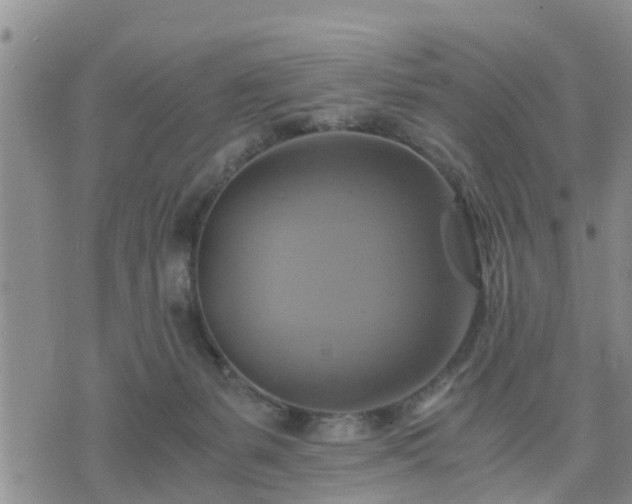 X0000075860127200609221805