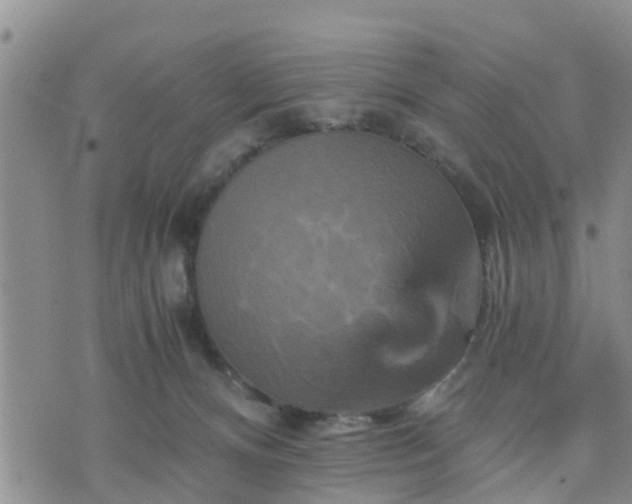 X0000075860128200609221805