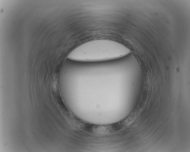 X0000075860129200609221805