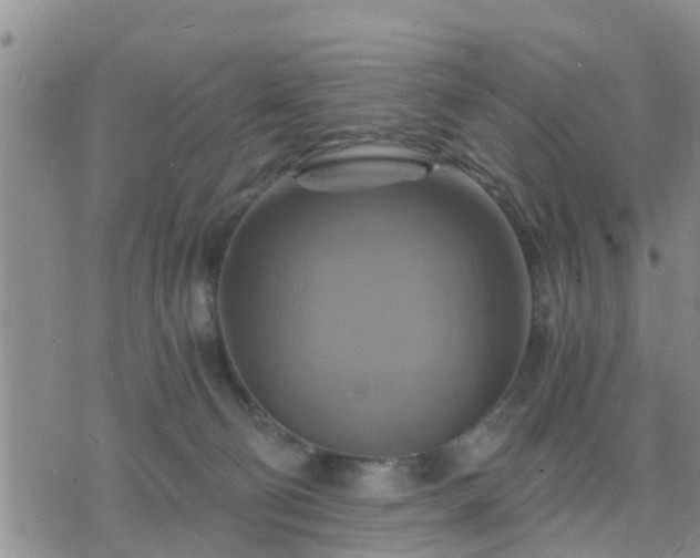 X0000075860130200609221805