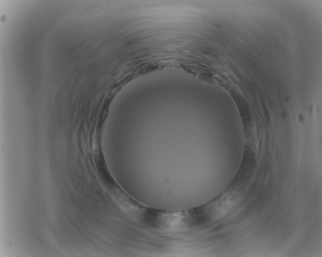 X0000075860131200609221805