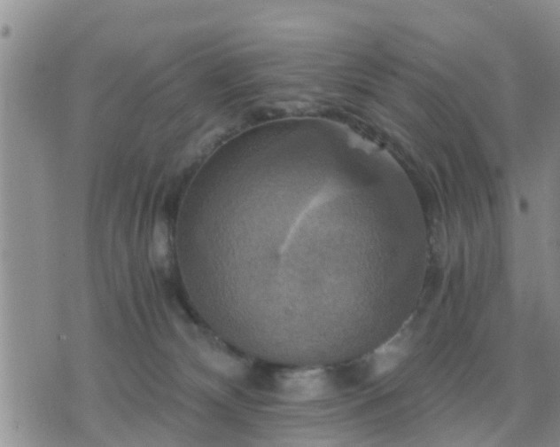 X0000075860132200609221805