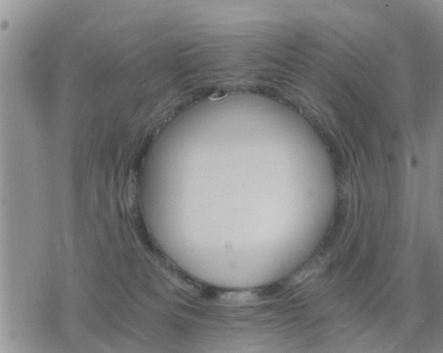 X0000075860133200609221805