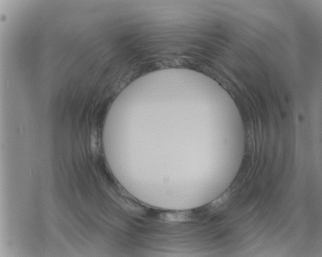 X0000075860134200609221805