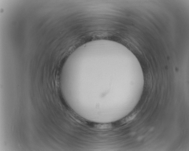 X0000075860135200609221805