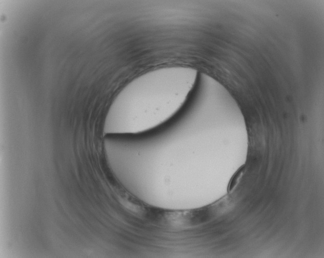 X0000075860136200609221805