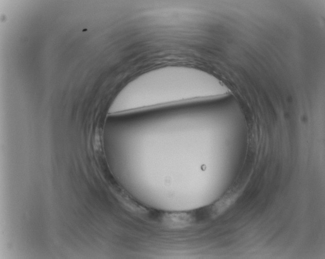 X0000075860137200609221805