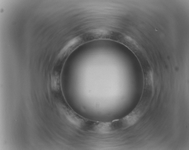 X0000075860138200609221805