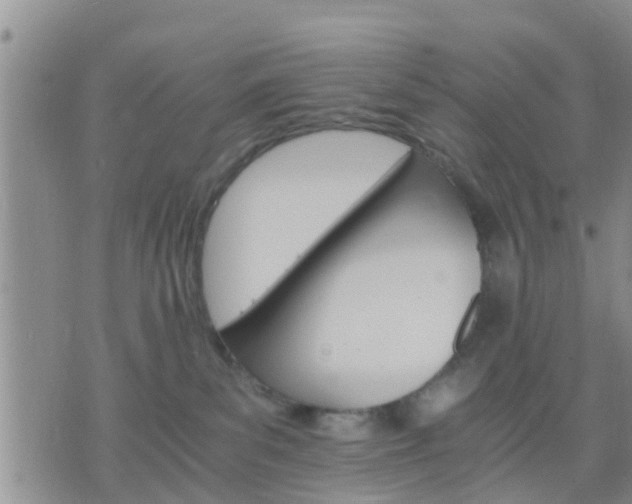 X0000075860139200609221805