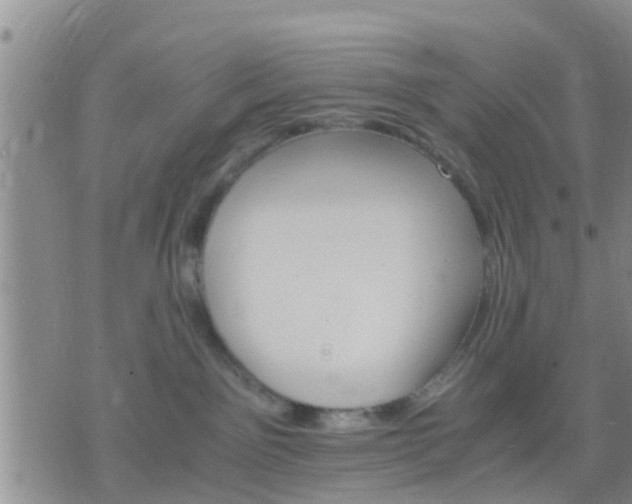 X0000075860141200609221805