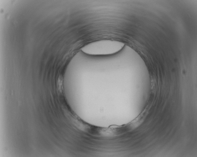 X0000075860142200609221805