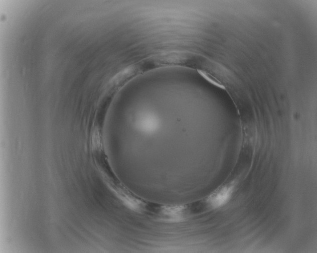 X0000075860143200609221805