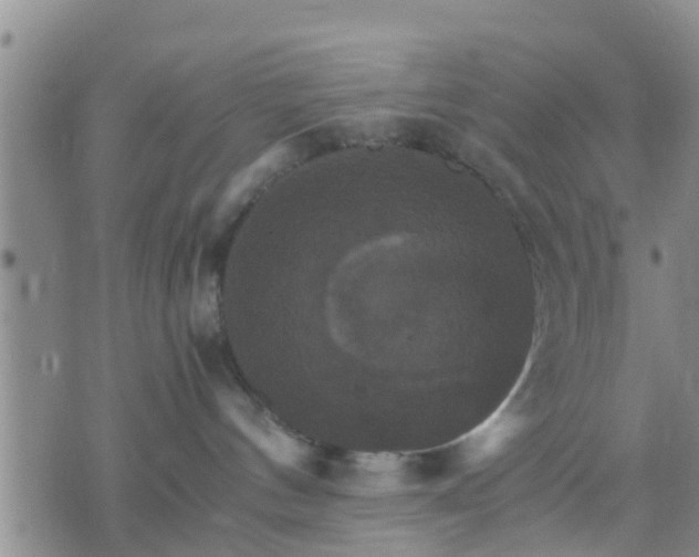 X0000075860144200609221805