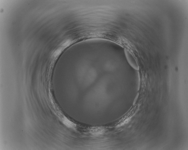 X0000075860145200609221804