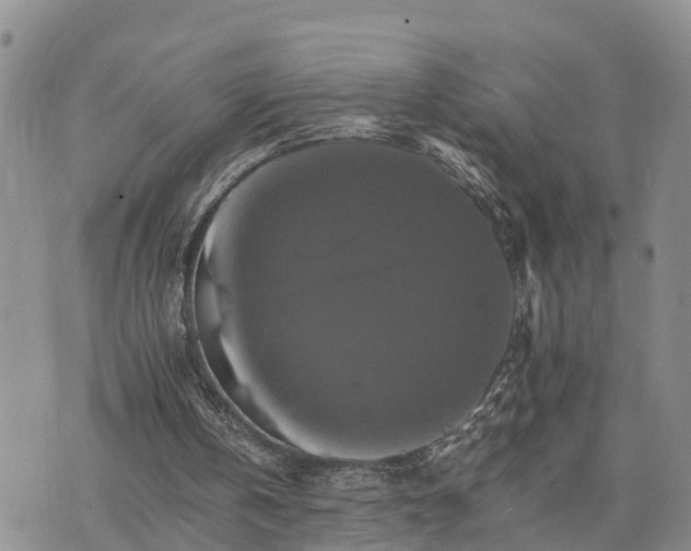 X0000075860146200609221804