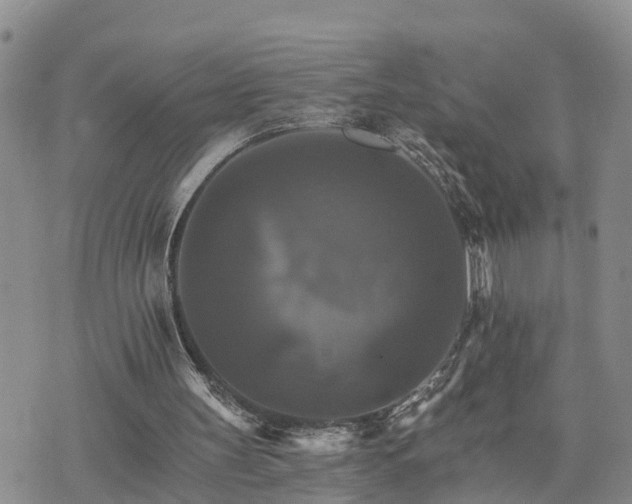 X0000075860147200609221804