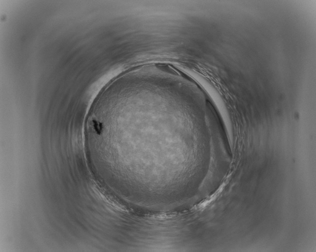 X0000075860148200609221804