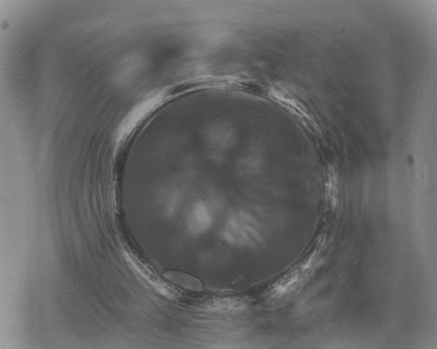 X0000075860149200609221804