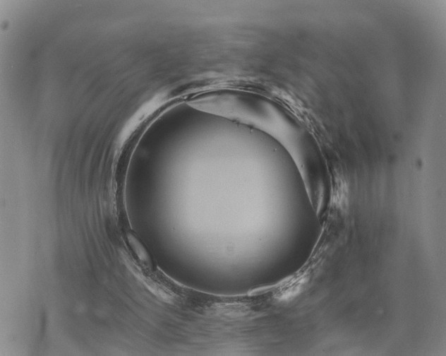 X0000075860150200609221804