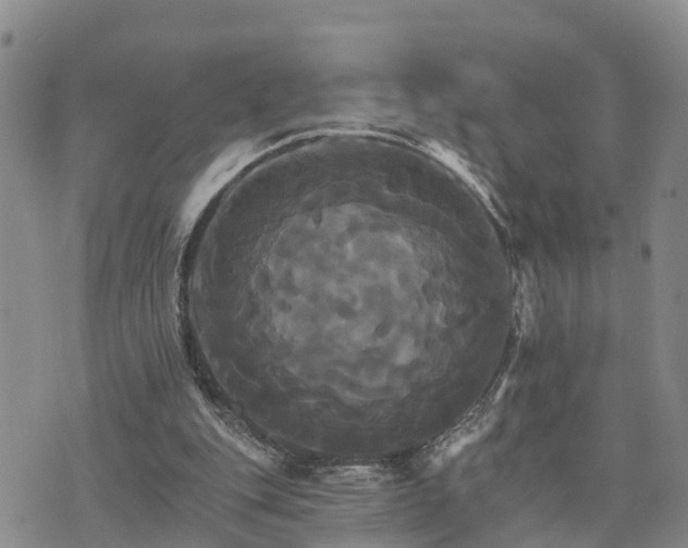 X0000075860151200609221804