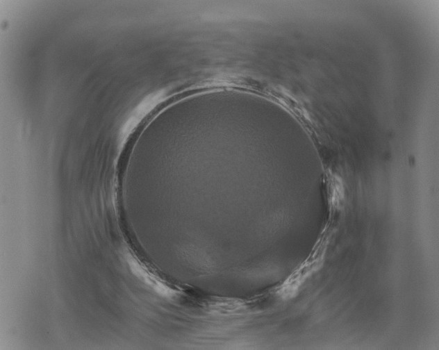 X0000075860152200609221804