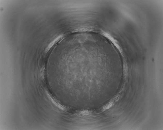 X0000075860153200609221804