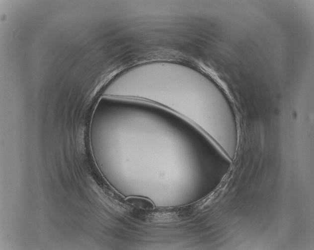 X0000075860154200609221804