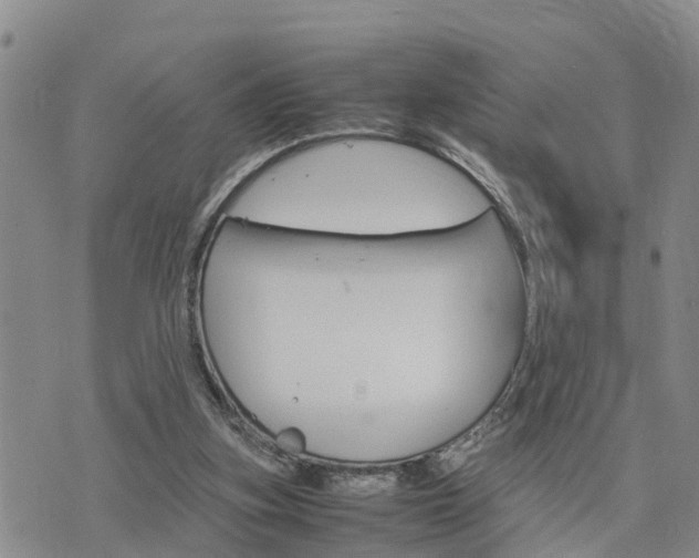 X0000075860155200609221804