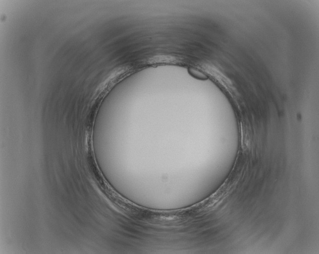 X0000075860157200609221804